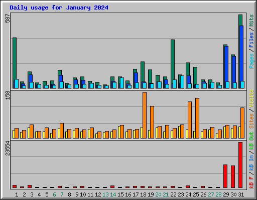 Daily usage for January 2024