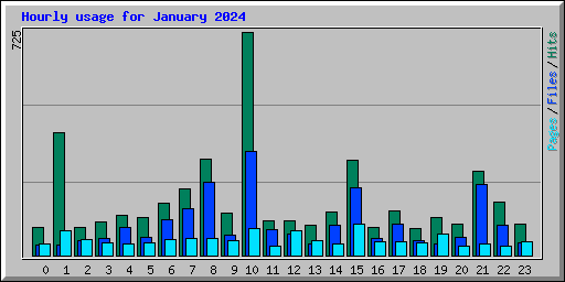 Hourly usage for January 2024