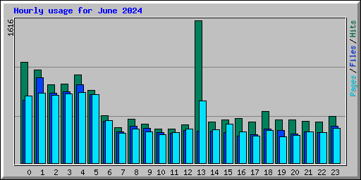 Hourly usage for June 2024