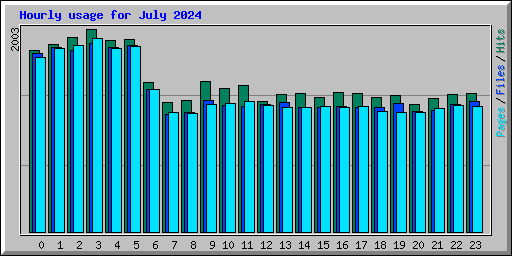 Hourly usage for July 2024